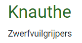 Knauthe KNAUTHE Zwerfvuilgrijper met aluminium buissteel voorzien van een metalen bek en hendelgreep.