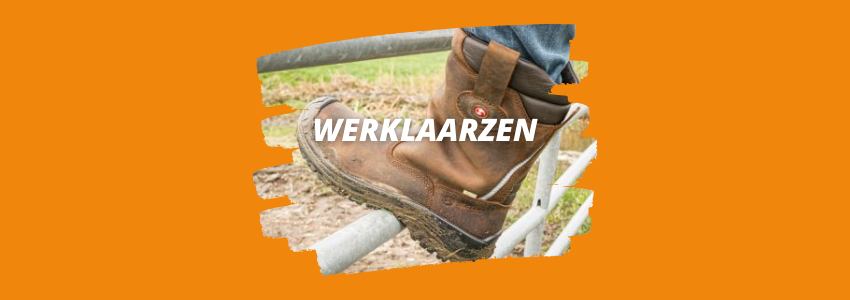 Werklaarzen