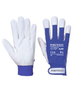 Tergsus Handschoen