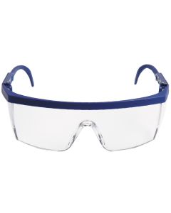 3M Nassau Plus veiligheidsbril